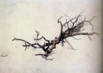 风景画大师 Caspar David Friedrich 1812_040